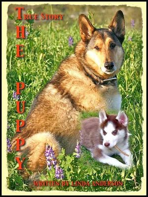 cover image of The Puppy a True Story